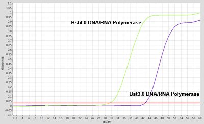 Bst dna聚合酶RT-LAMP实验